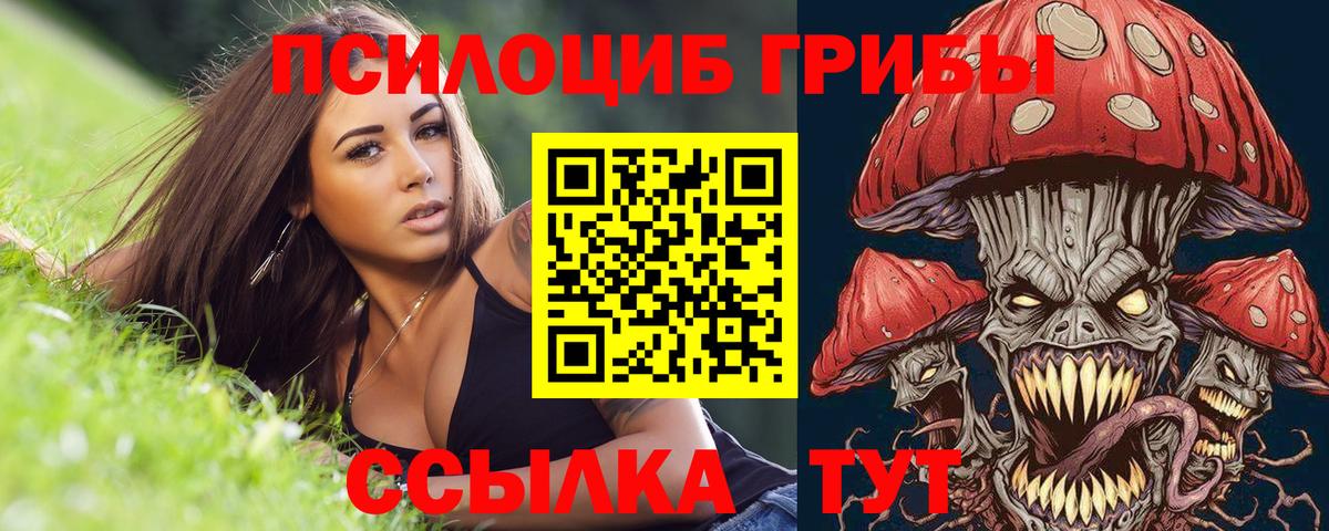 Галлюциногенные грибы прущие грибы Кулебаки